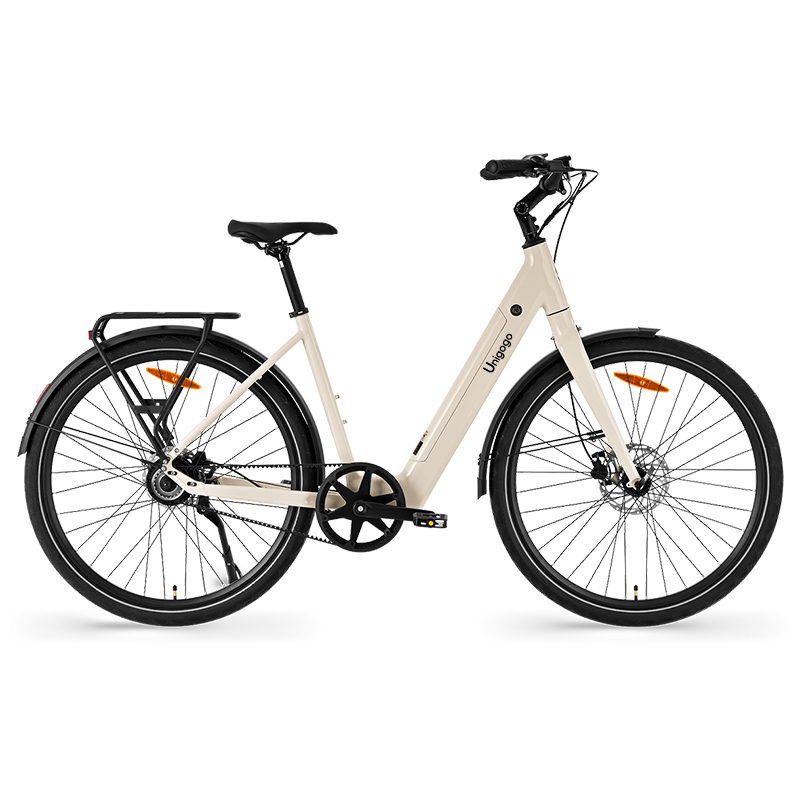 Bicicleta Eléctrica de Montaña - Mountain Biking App reseña y precio
