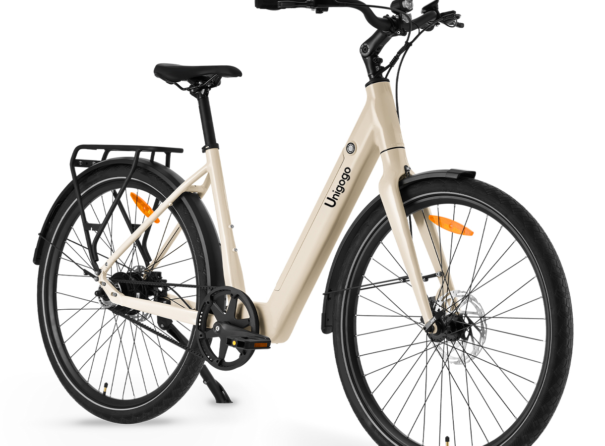 Bicicleta Eléctrica de Montaña - Mountain Biking App reseña y precio
