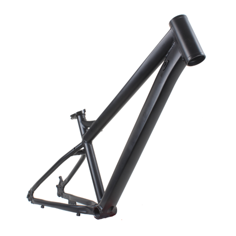 Cuadro de Bicicleta de Montaña - Mountain Biking Youth reseña y precio
