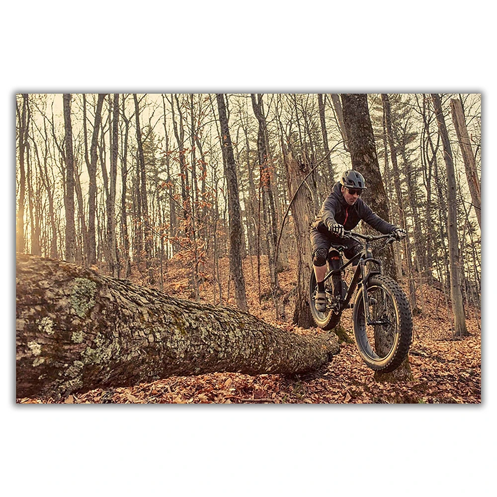 SP082 Póster de pared de tela  - Mountain Biking Movies reseña y precio
