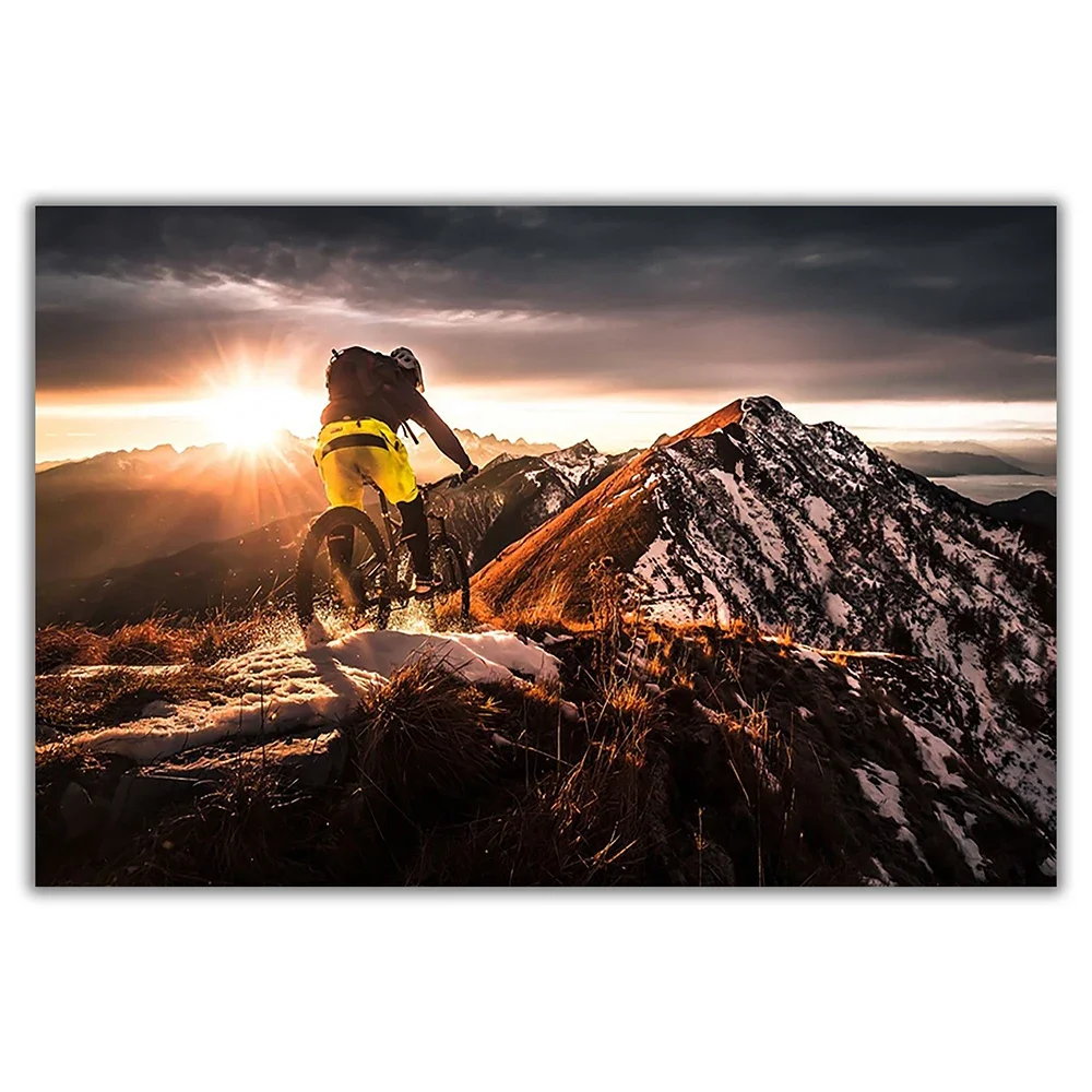 SP080 Póster de pared de tela  - Mountain Biking Movies reseña y precio